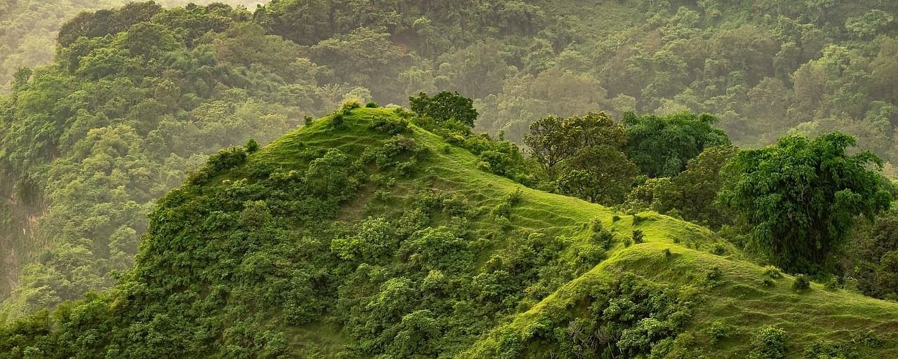 scenic views of mountains with lush greenery